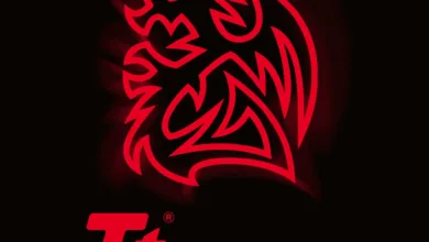 Ttesports logo