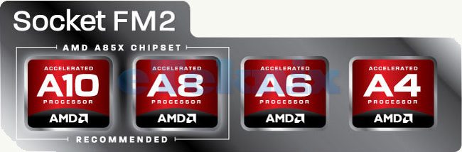 amd a80