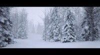 UE4 Snow Forest 672x372