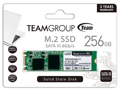 Team M.2 2280 NVMe SSD 2TB PCIe Gen3x4 MP33シリーズ 日本国内5年