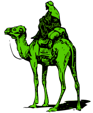 Silk Road Marketplace Camel