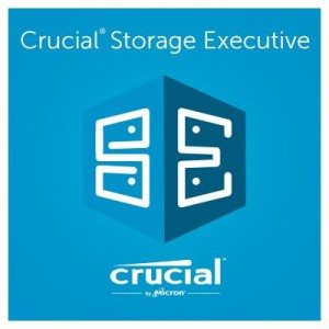 crucial storage executive momentum cache