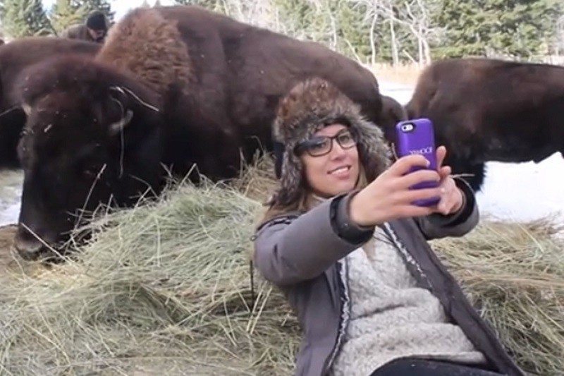 Bison Selfie