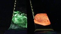 Glowing fingerprints