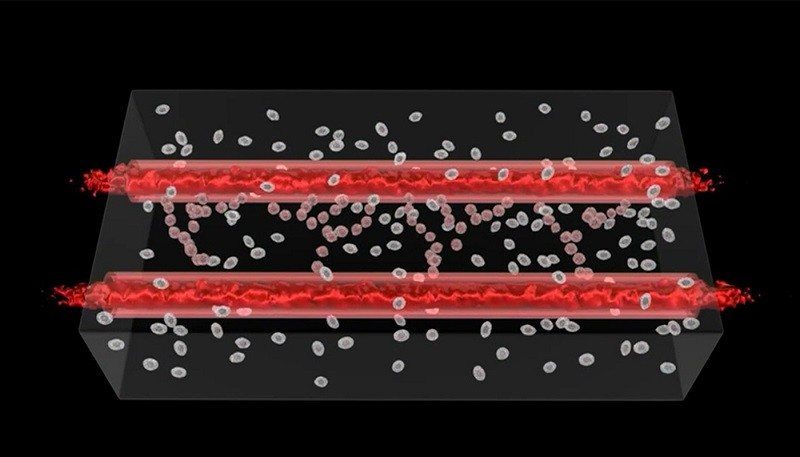 Scientists Manage To 3d Print Live Blood Vessels Eteknix