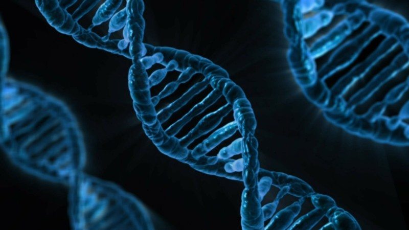 Microsoft Looking at Synthetic DNA to Store Data