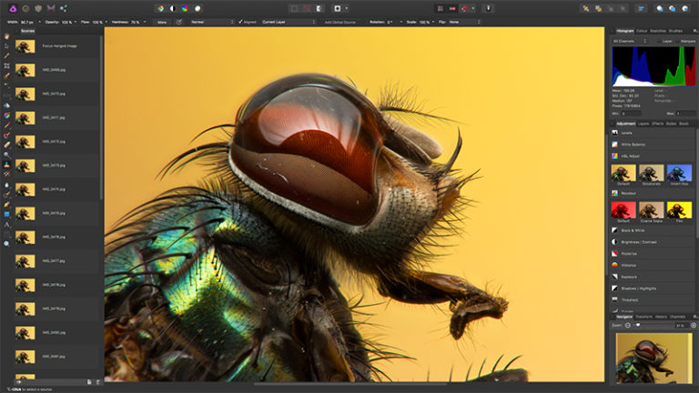 affinity vs pixelmator