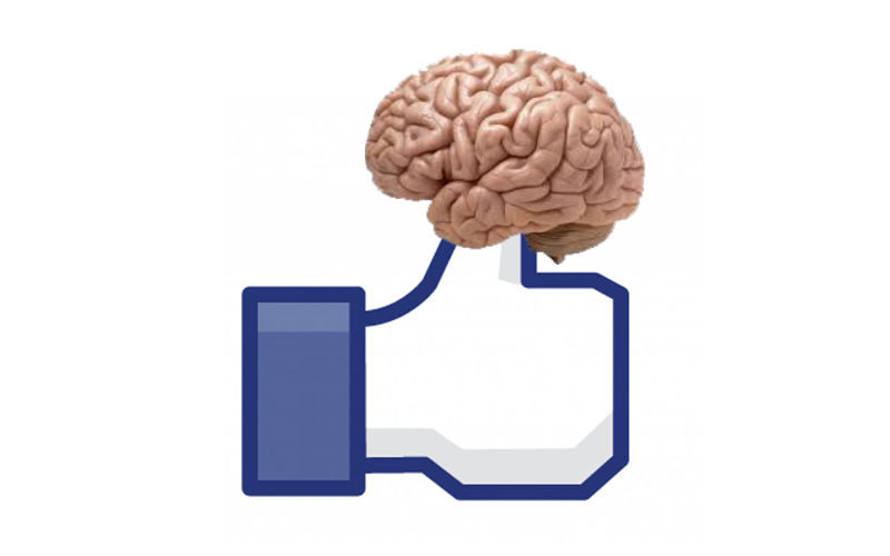 facebook brain
