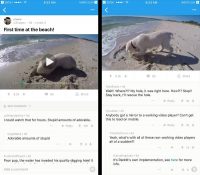 Reddit Enables Video Uploading Feature