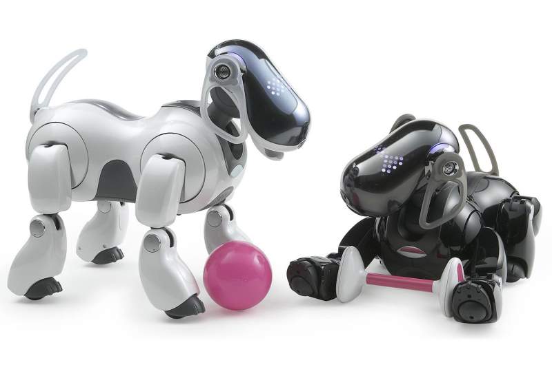 aibo robot dog amazon
