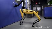 Boston Dynamics robot dog