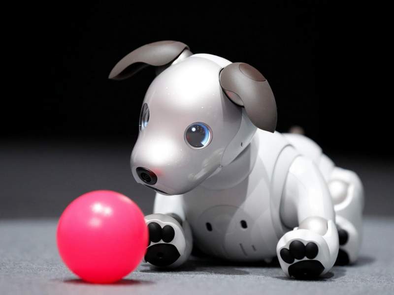 You Can Own Sony's New Aibo Robot Dog Soon for $2,900 USD