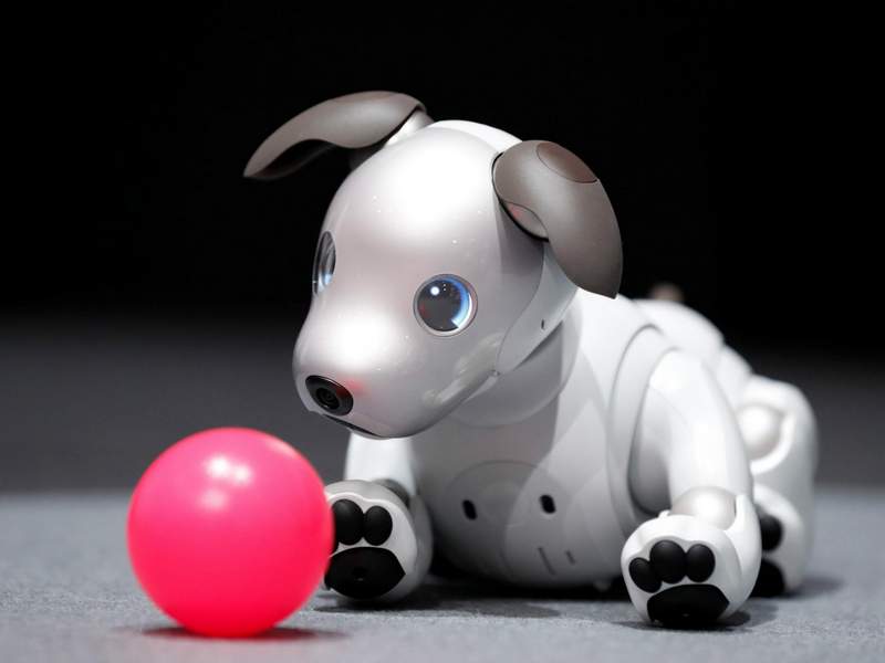 Sony's robot dog Aibo is headed to the US for a cool $2,899 - The