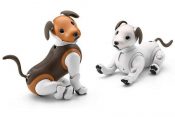 Sony Announces Limited Edition 'Chocolate' Aibo Robot Dog