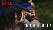 Netflix Pleads for Fans to Stop Dangerous 'Bird Box' Challenge