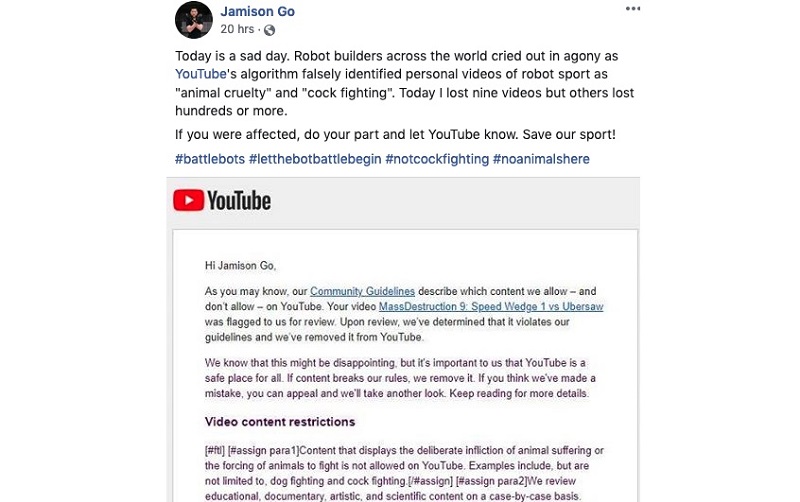 Youtube Cock Fighting