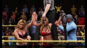 wwe 2k20 wwe