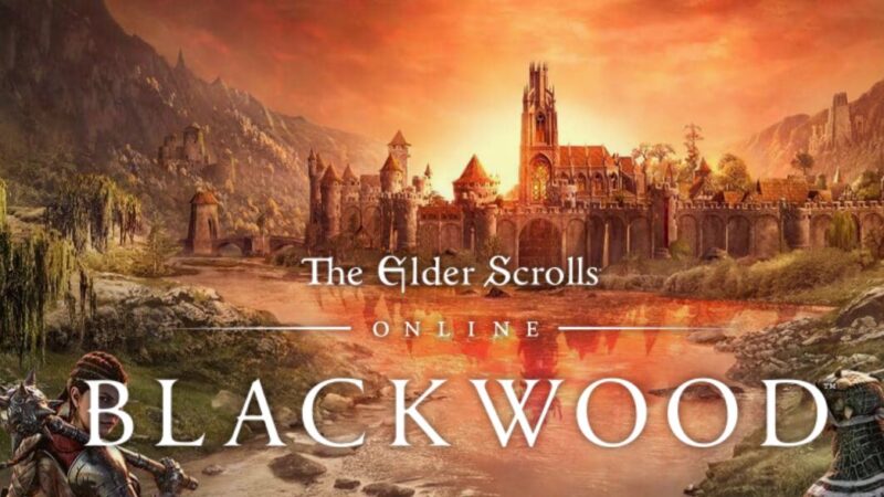 The Elder Scrolls Online 