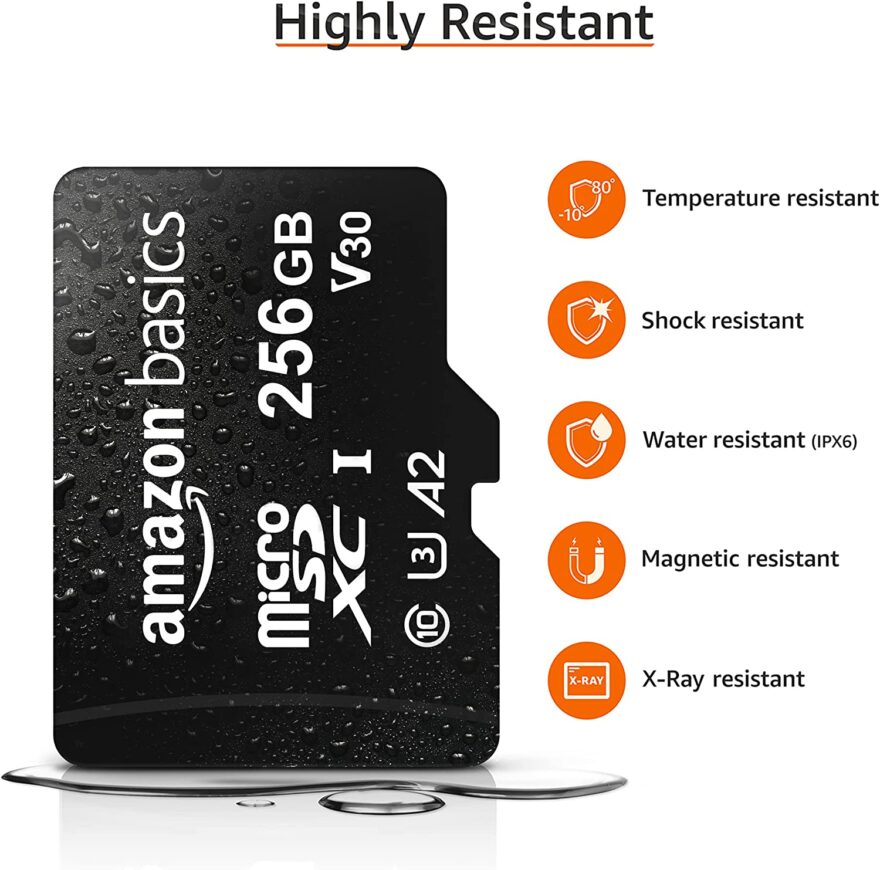 Amazon Basics MicroSDXC 256 GB with SD Adapter