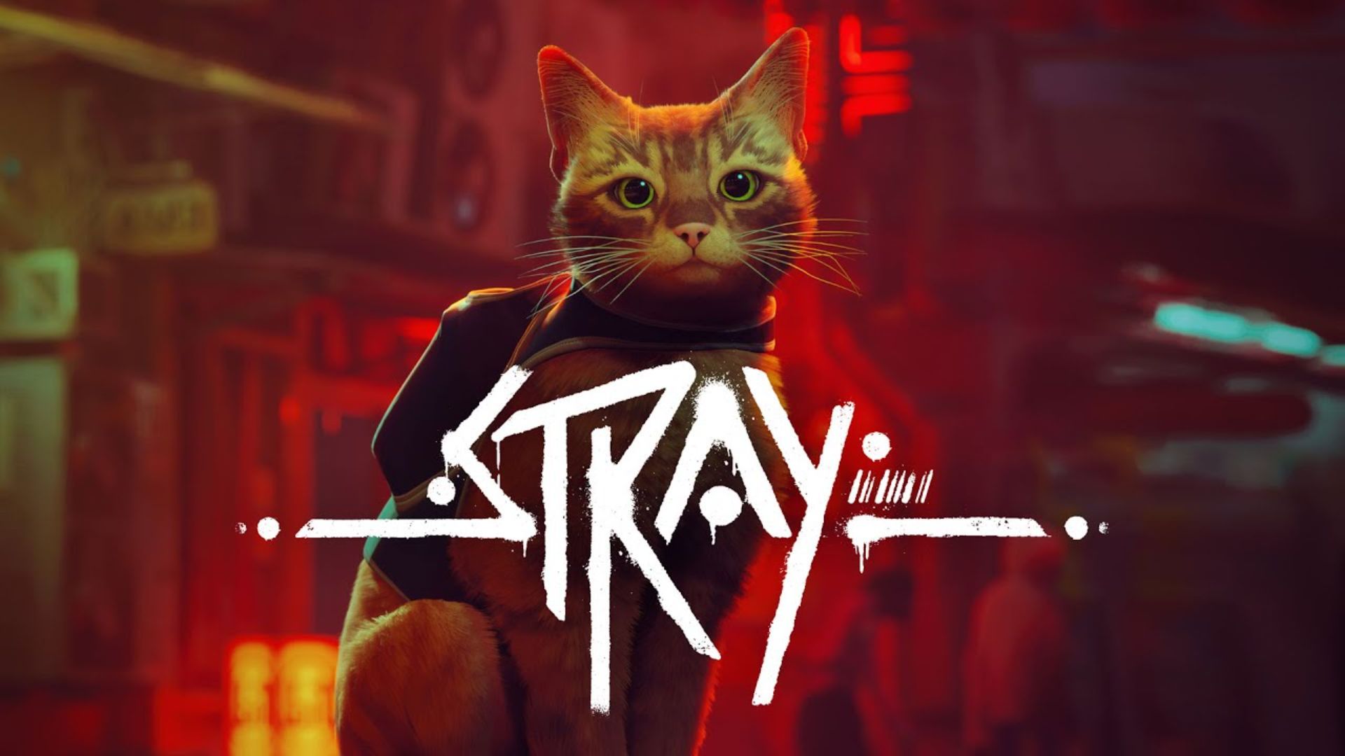 Stray might be coming to Xbox soon