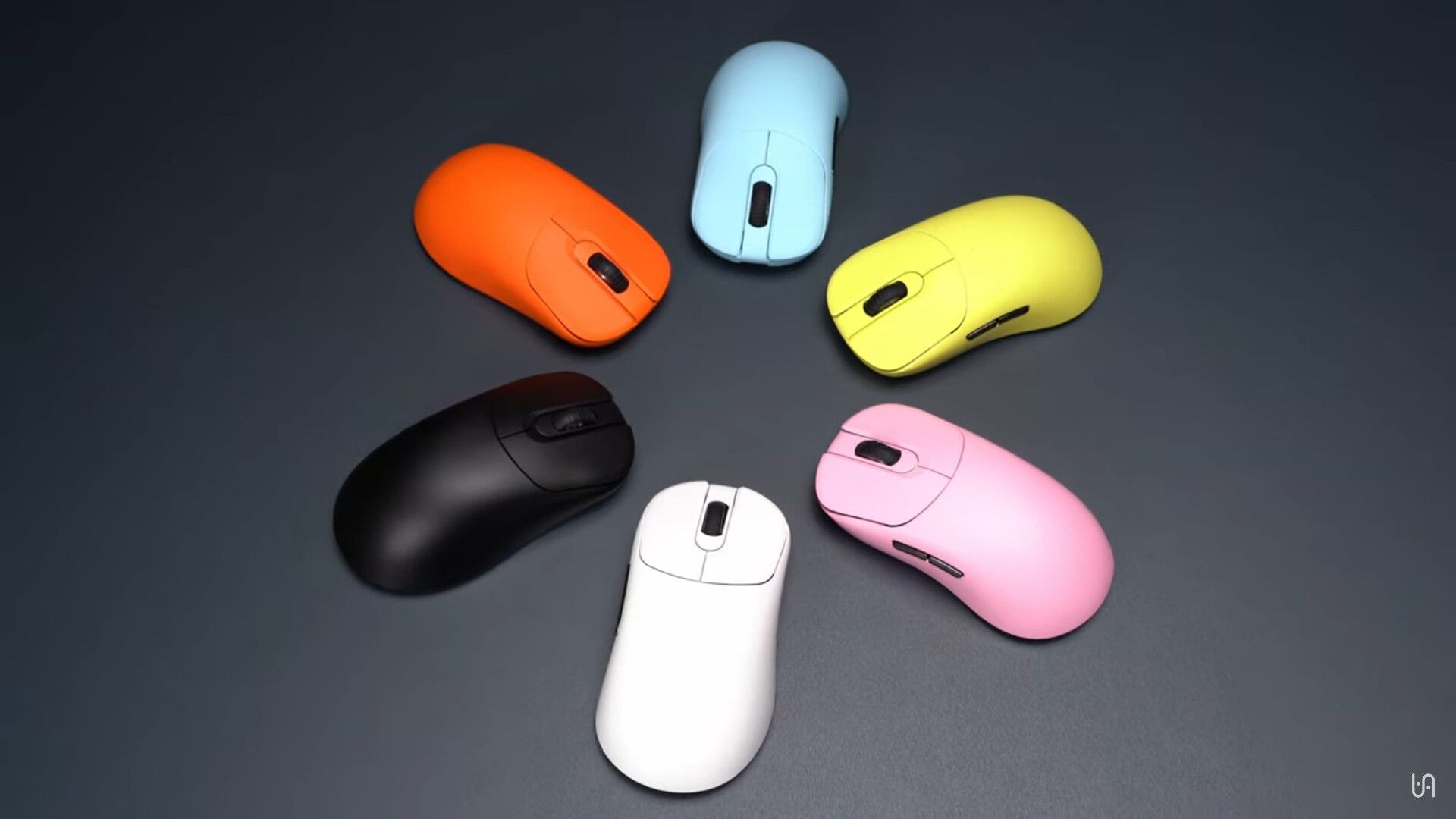 VAXEE Reveals The Colourful ZYGEN NP-01S Wireless Gaming Mouse | eTeknix